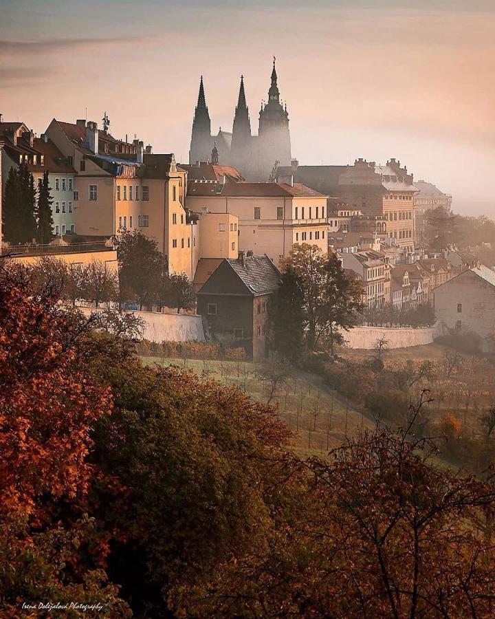 Blue 7 * Praga